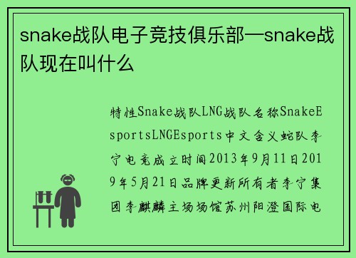 snake战队电子竞技俱乐部—snake战队现在叫什么